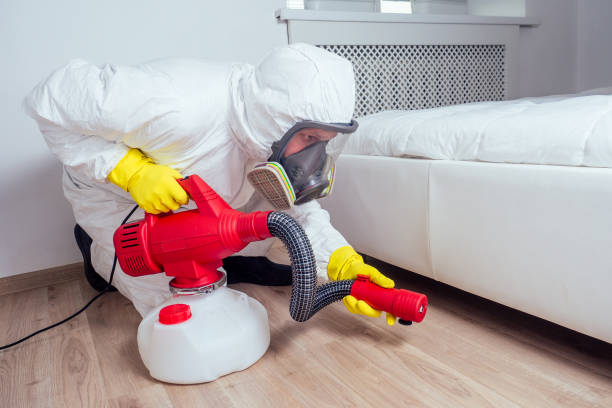 Best Pest Control Near Me in North Conway, NH
